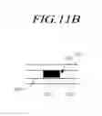 Fig. 25 - Panel vibration type sound generating display device