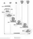 Fig. 24 - Method and device for selective communication service in communication system