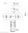 Fig. 02 - Channel access for a mixed numerology carrier