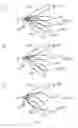 Fig. 04 - Beamforming based on combined beams