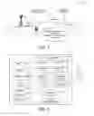 Fig. 02 - UE Category and Capability Indication for Co-existed LTE and NR Devices