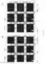 Fig. 167 - Method of supplying electrical power from rigid printed circuit board to another rigid printed circuit board in rigid-flex printed circuit board array