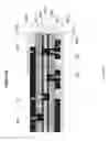 Fig. 178 - Method of supplying electrical power from rigid printed circuit board to another rigid printed circuit board in rigid-flex printed circuit board array