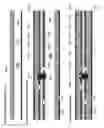 Fig. 199 - Method of supplying electrical power from rigid printed circuit board to another rigid printed circuit board in rigid-flex printed circuit board array