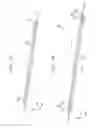 Fig. 05 - Electronic device