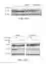 Fig. 65 - IMiD screening methods IMiD-sensitive cells with mutant CRBN