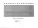 Fig. 75 - IMiD screening methods IMiD-sensitive cells with mutant CRBN