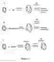 Fig. 08 - METHODS TO PRODUCE POLYMER NANOPARTICLES AND FORMULATIONS OF ACTIVE INGREDIENTS