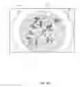 Fig. 08 - Honey based biocide composition