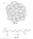 Fig. 02 - CRISP MEAT CHIP AND SYSTEM AND METHOD FOR MAKING THE SAME