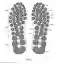 Fig. 04 - Extruded components for articles of footwear and methods of making the same