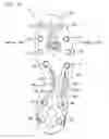 Fig. 07 - Outsole structure for shoes and cleated shoe using same