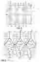 Fig. 11 - Pocketed spring assembly comprising strings of springs with tabs