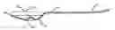 Fig. 01 - Modified spoon to reduce the dripping of liquids