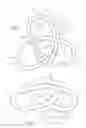 Fig. 02 - A PIPE ARRANGEMENT FOR A FLUID HEATING ASSEMBLY, FLUID HEATING ASSEMBLY AND BEVERAGE PREPARATION MACHINE