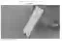 Fig. 04 - Choppii