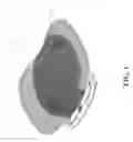 Fig. 02 - Swivel Infant Bather