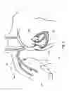 Fig. 02 - DEVICES AND METHODS FOR VASCULAR NAVIGATION, ASSESSMENT AND/OR DIAGNOSIS