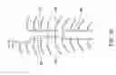Fig. 03 - DETECTING BODY PART ACTIVITY USING THE INTERNAL THORACIC VEIN