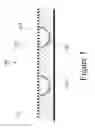 Fig. 02 - METHOD AND APPARATUS FOR ENDOMETRIAL SCREENING