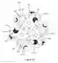 Fig. 49 - External bone fixation systems