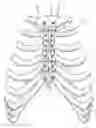 Fig. 01 - Bone Fixation Implants
