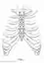 Fig. 02 - Bone fixation implants and methods