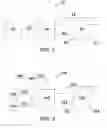Fig. 02 - Oral care cleaning system utilizing entrained fluid