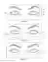 Fig. 08 - Dry eye treatment systems