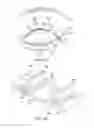 Fig. 19 - Dry eye treatment systems