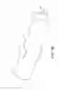 Fig. 12 - Intraocular delivery devices and methods therefor