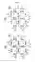Fig. 12 - Absorbent article having a cavity portion and a projection that fits in the cavity portion