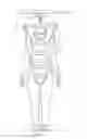 Fig. 02 - Linkage assemblies for person lifting apparatuses