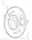 Fig. 09 - Tablet and capsule dispensing assembly