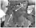 Fig. 01 - Optically diffusing particles