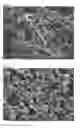 Fig. 03 - Optically diffusing particles