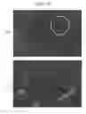 Fig. 03 - COSMETIC COMPOSITION WITH MULTIPLE EMULSION FORMULATION HAVING LAMELLAR LIQUID CRYSTAL STRUCTURE