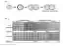 Fig. 02 - EMULSION COSMETIC COMPOSITION COMPRISING OPTICAL INTERFERENCE PIGMENT AND METHOD FOR PREPARING SAME
