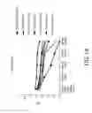 Fig. 20 - Oral care compositions and methods of use