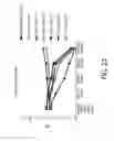Fig. 23 - Oral care compositions and methods of use