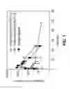Fig. 02 - Processes useful for the preparation of 1-[3-(4-bromo-2-methyl-2H-pyrazol-3-yl)-4-methoxy-phenyl]-3-(2,4-difluoro-phenyl)-urea and crystalline forms related thereto