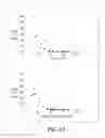 Fig. 02 - Methods of treating fabry patients having renal impairment