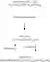 Fig. 02 - Broad Spectrum Antiviral and Methods of Use
