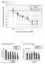 Fig. 09 - Thyroid hormone receptor agonist and use thereof