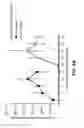 Fig. 06 - COMPOSITIONS AND METHODS FOR TREATING PERITONEAL CANCERS