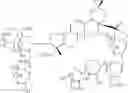 Fig. 05 - Method for obtaining saponins from plants