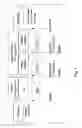 Fig. 02 - ATTENUATION OF INTRAPULMONARY INFLAMMATION