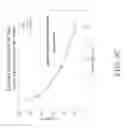 Fig. 08 - NOVEL BIOMATERIALS AND A METHOD FOR MAKING AND USING SAME
