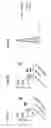 Fig. 09 - Anti-CD137 antibodies and methods of use thereof