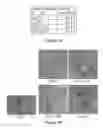 Fig. 02 - Sequence-specific cellular uptake of spherical nucleic acid nanoparticle conjugates